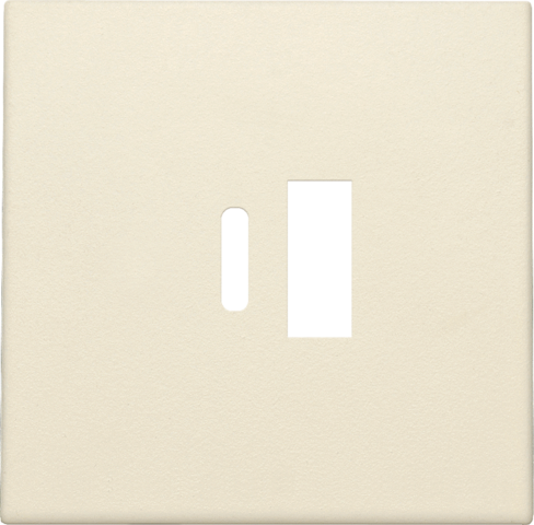 Afwerkingsset voor dubbele smart USB-A- en USB-C-lader, crea