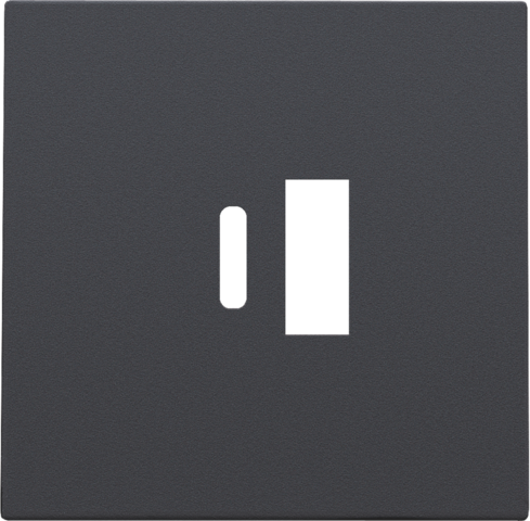 Afwerkingsset voor dubbele smart USB-A- en USB-C-lader, anth