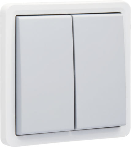 Spuitwaterdichte serieschakelaar 10 AX/250 Vac met insteekkl