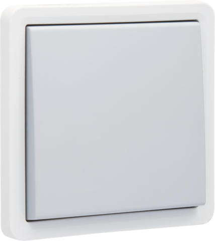 Spuitwaterdichte wisselschakelaar 10 AX/250 Vac met insteekk