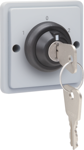 Spuitwaterdichte sleutelschakelaar 16 A met schroefklemmen,