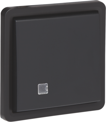 Spuitwaterdichte tweepolige controleschakelaar 10 AX/250 Vac